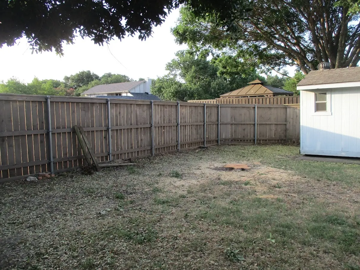 Cleared yard after professional tree removal in Fairview